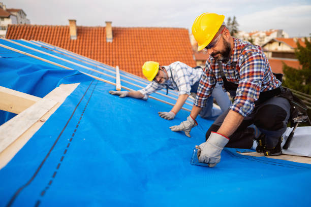 Best Rubber Roofing (EPDM, TPO)  in Rushville, NE