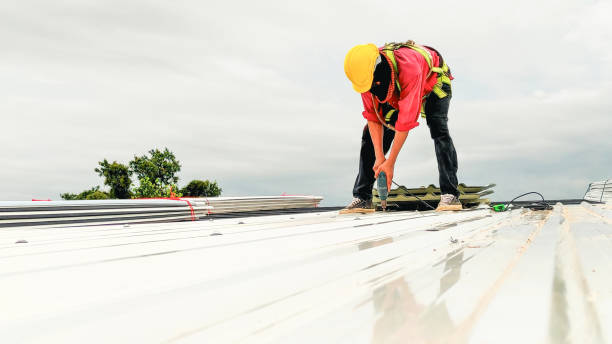 Best Storm Damage Roof Repair  in Rushville, NE